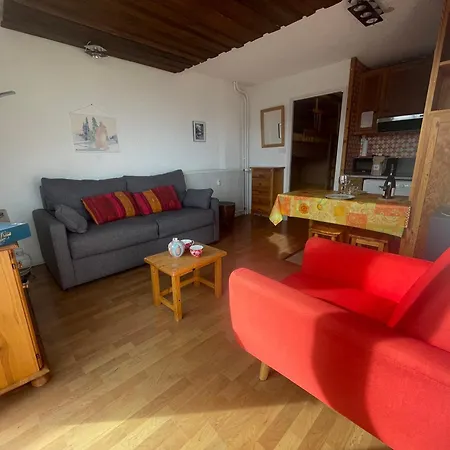 Apartament Pour 4 Pers Au Centre De Pra Loup Avec Vue Sur Vallee - Fr-1-165a-207 *